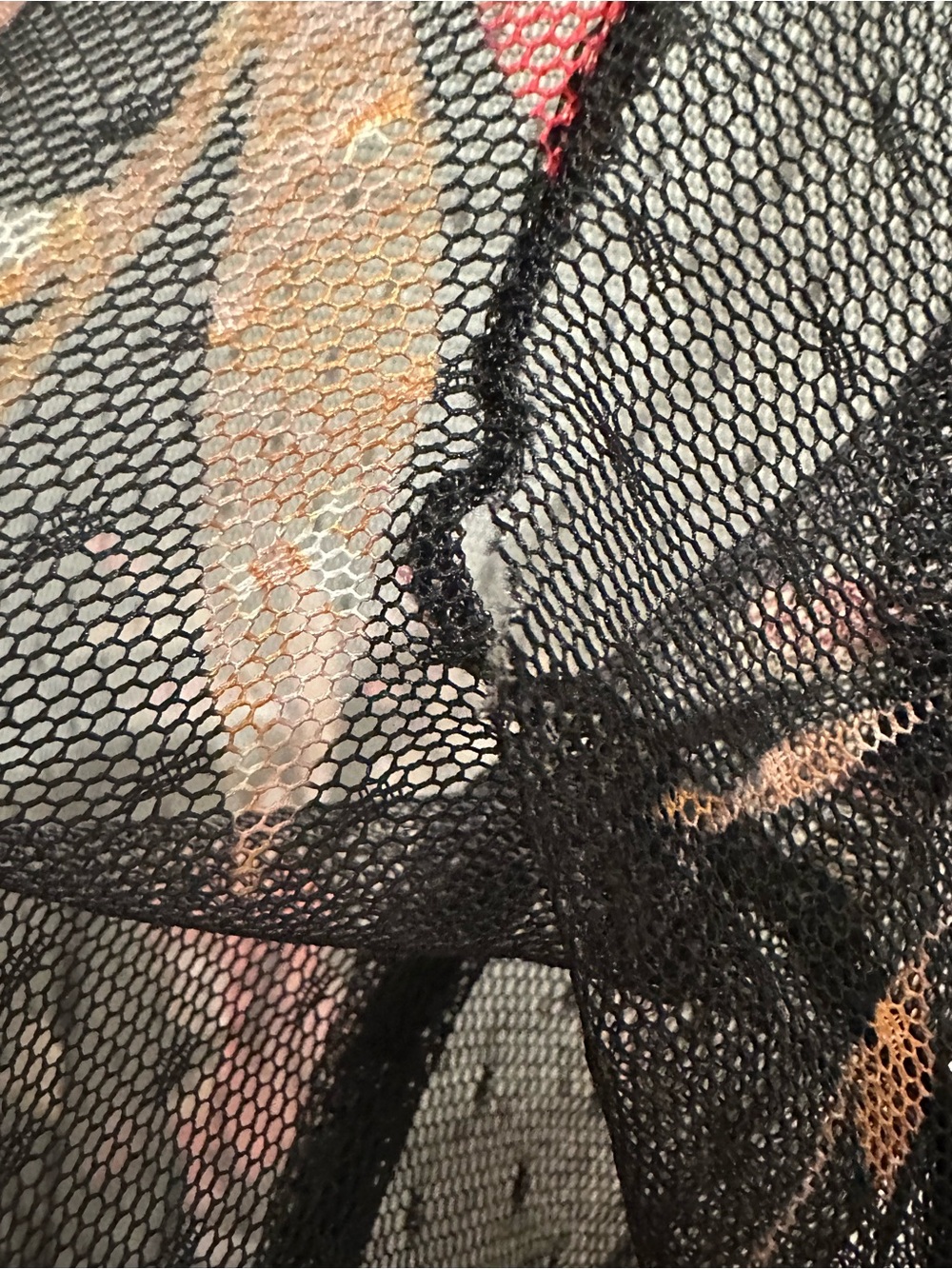Guess Medium Sheer Lace/Mesh Robe - Picture 6 of 7